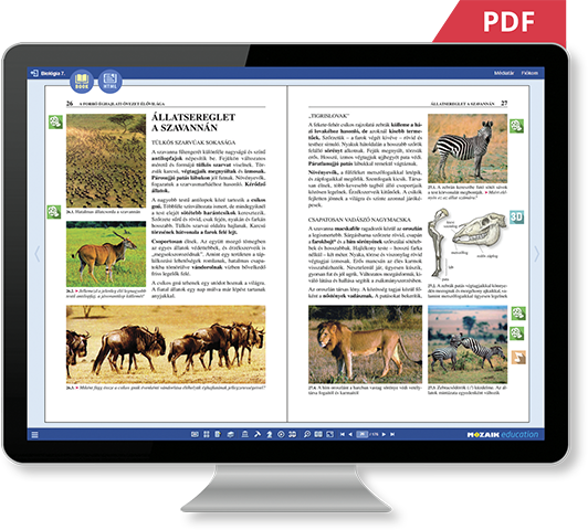 PDF أو HTML