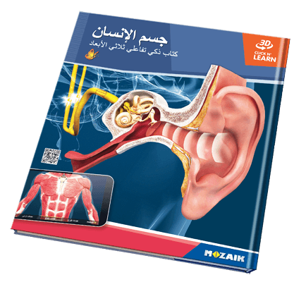 Book MS-6404-AR