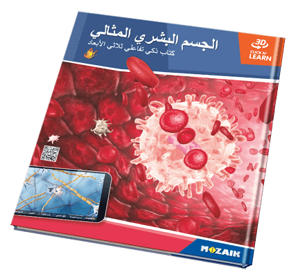 Book MS-6409-AR