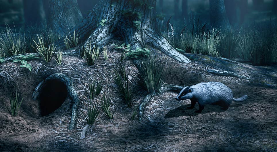 الغرير الأوروبي