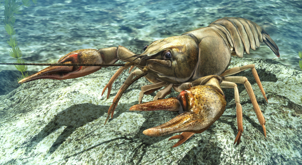 السرطان النهري