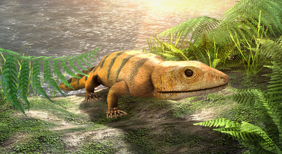 إكثيوستيكا