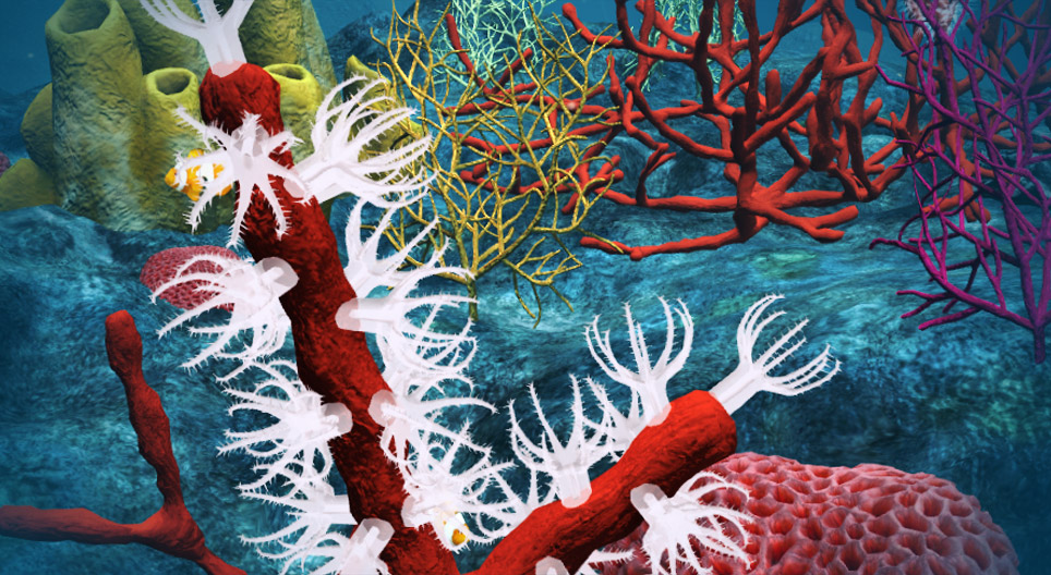 المرجان الثمين