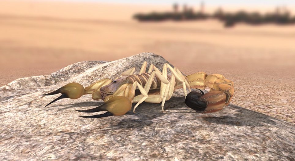 العقرب سميك الذيل