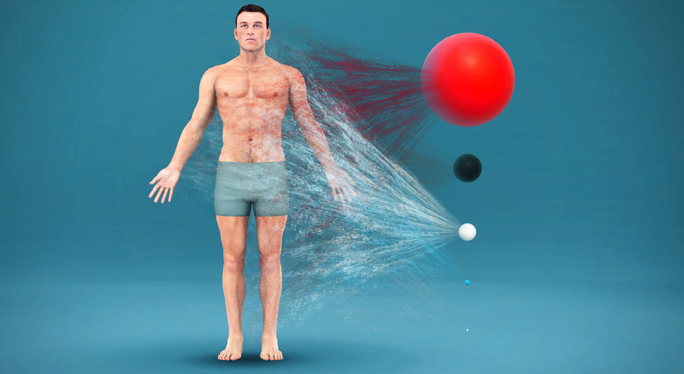 مم يتكون الجسم البشري؟