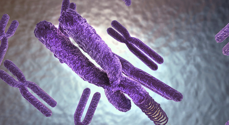 تنظيم المادة الوراثية