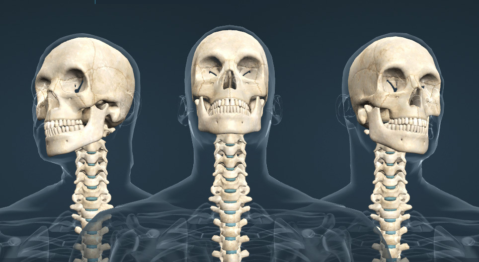 تحريك الرأس