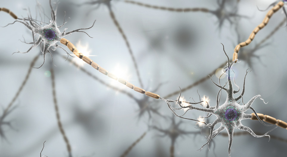 نقل التنبيه