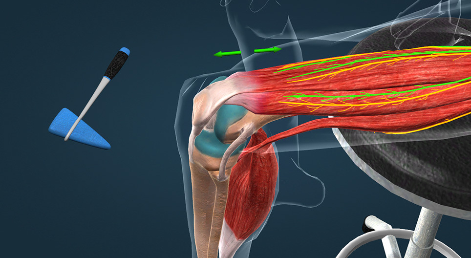 المنعكس الرضفي