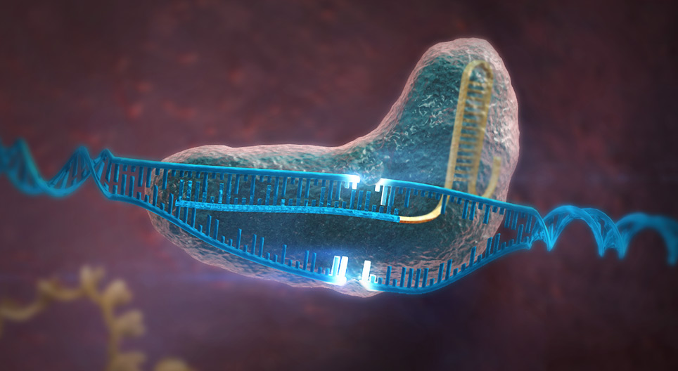 تعديل المحتوى الوراثي