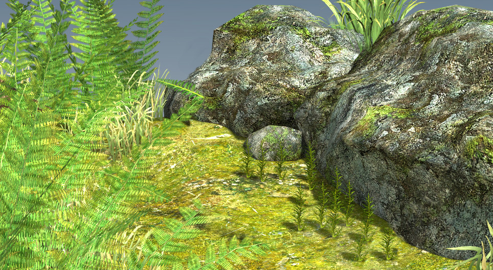 دورة حياة الطحالب و السراخس