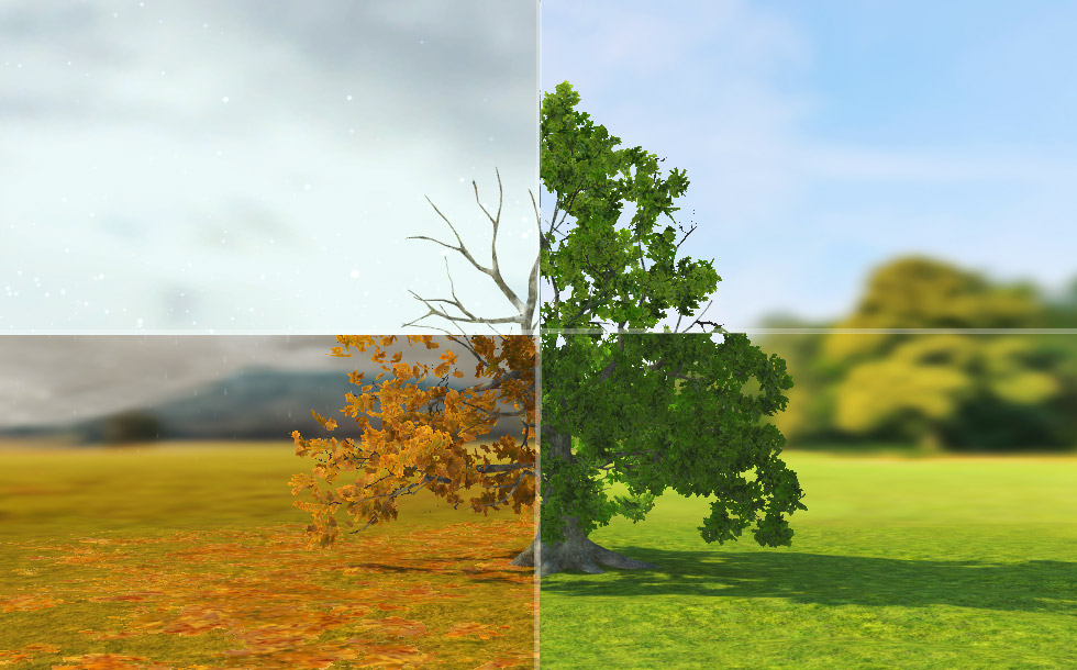 شجرة السنديان - مستوى ابتدائي