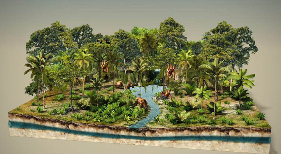 تدمير الغابات