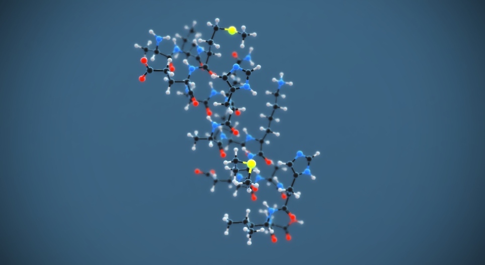 البنية الثانوية للبروتينات
