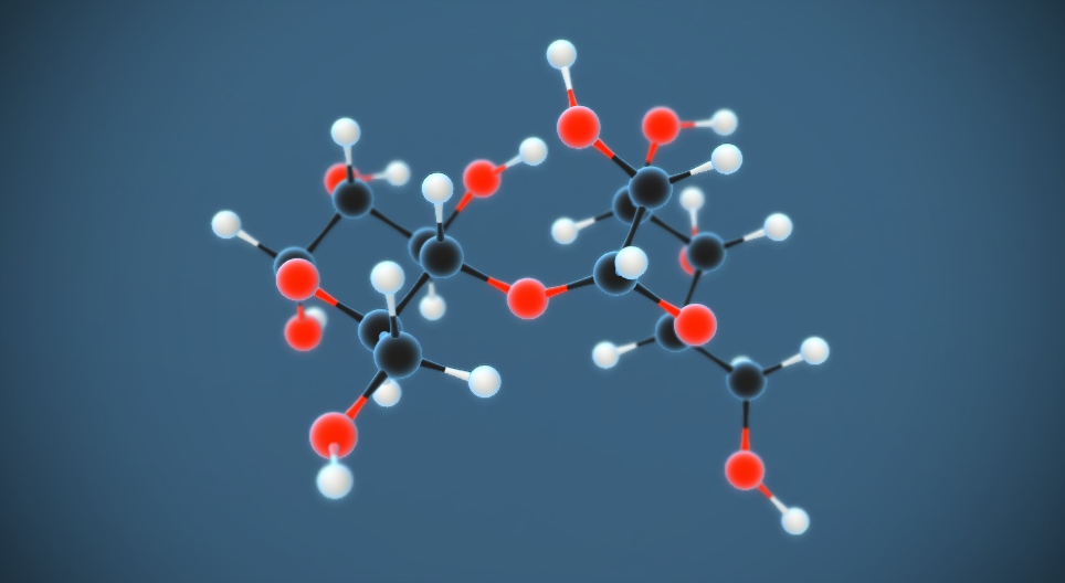 مالتوز سكر الشعير C₁₂H₂₂O₁₁