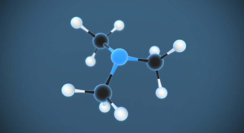 ثلاثي ميثيل أمين N CH₃ ₃