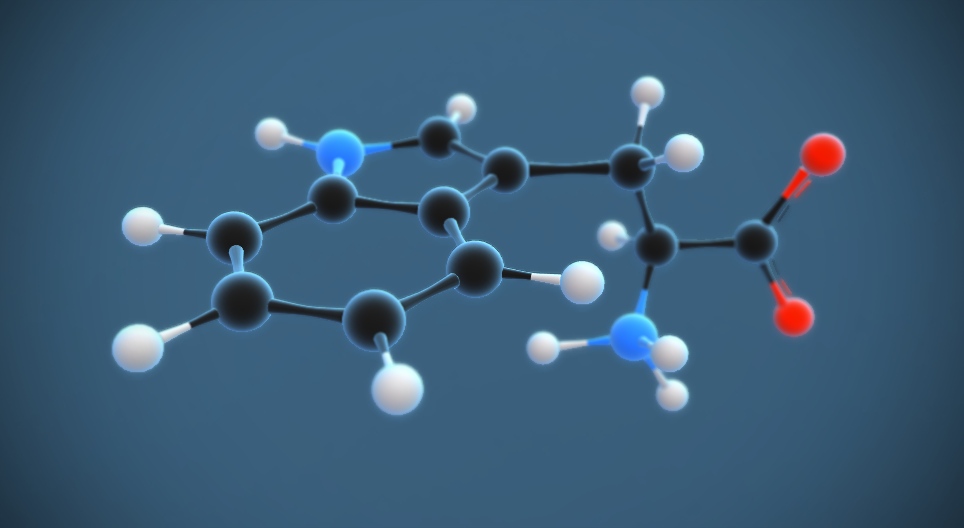 التريبتوفان