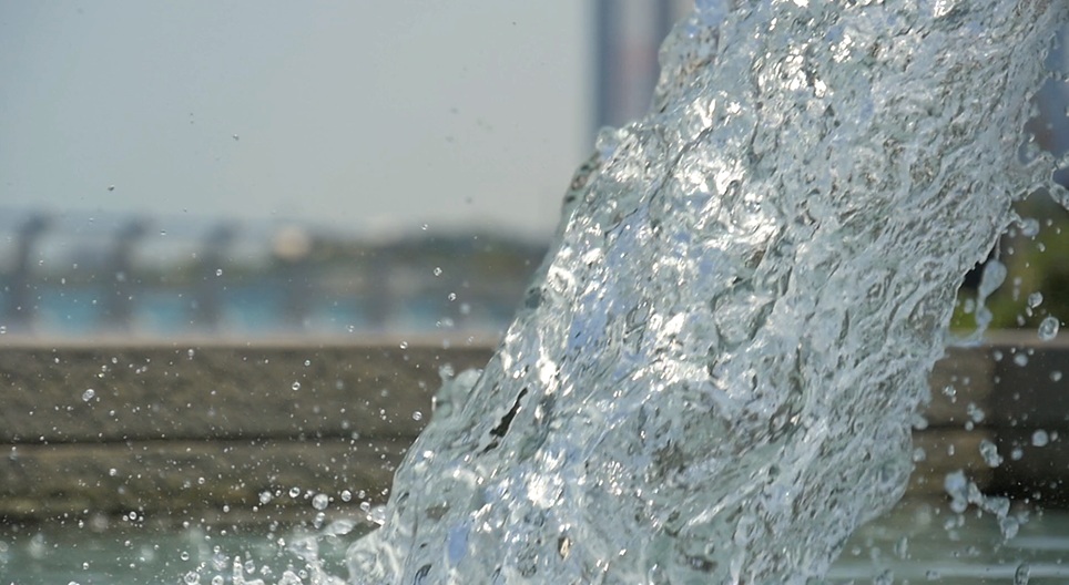 فيديوهات تعليمية