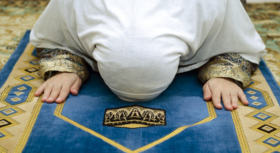 فيديوهات تعليمية