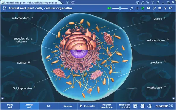 حلول تعليم رقمية مبتكرة