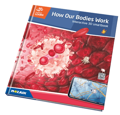 20 سلسلة مع 800 مشهد 3د