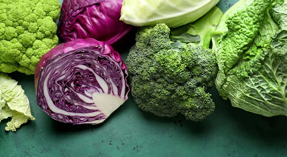Der Gemüsekohl und eine Kulturformen