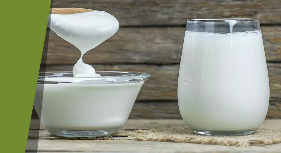 Feste Milch