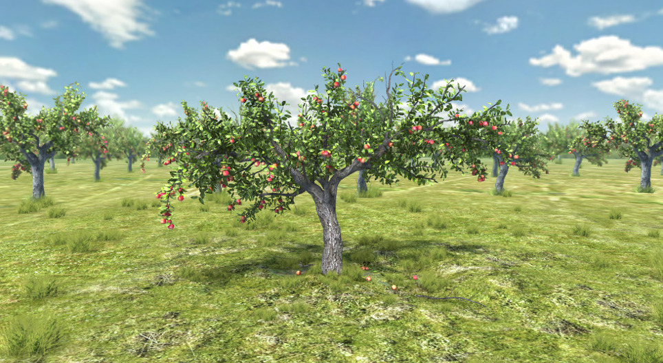 Der Apfelbaum