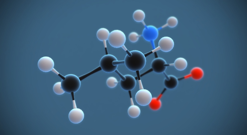 Das Leucin