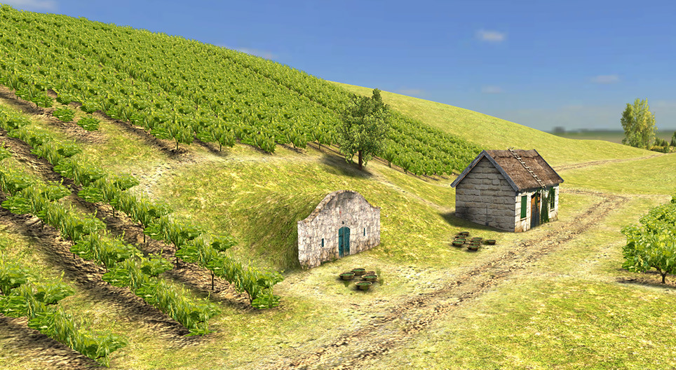 Das Weingebiet (Ungarn, Tokaj)