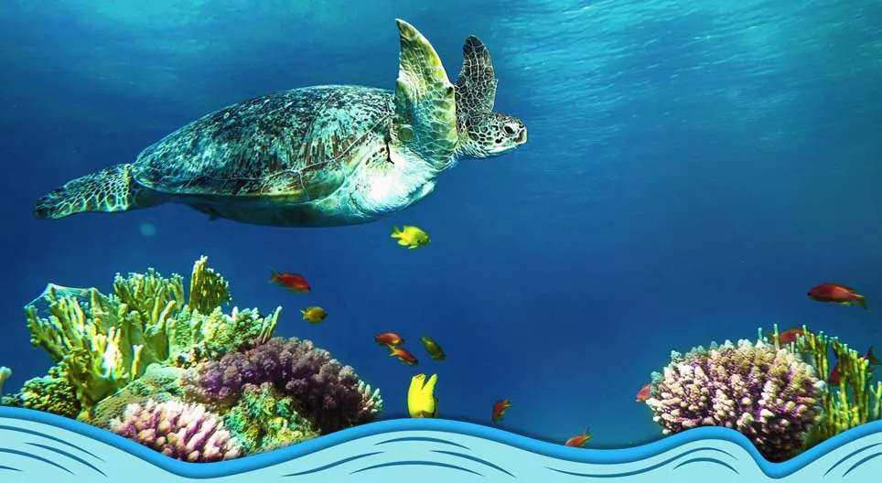 Introduction to the world of oceans