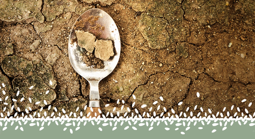 Global food crisis