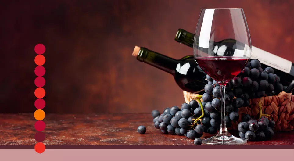 How do grapes turn into wine?