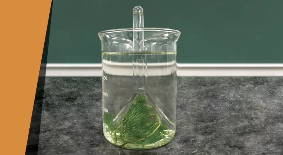 Home-made oxygen