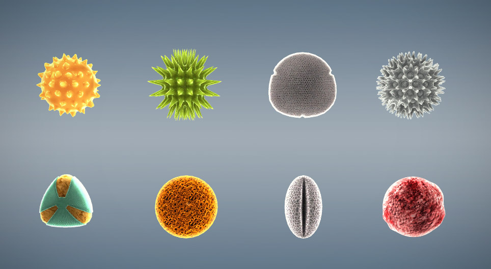 Pollen