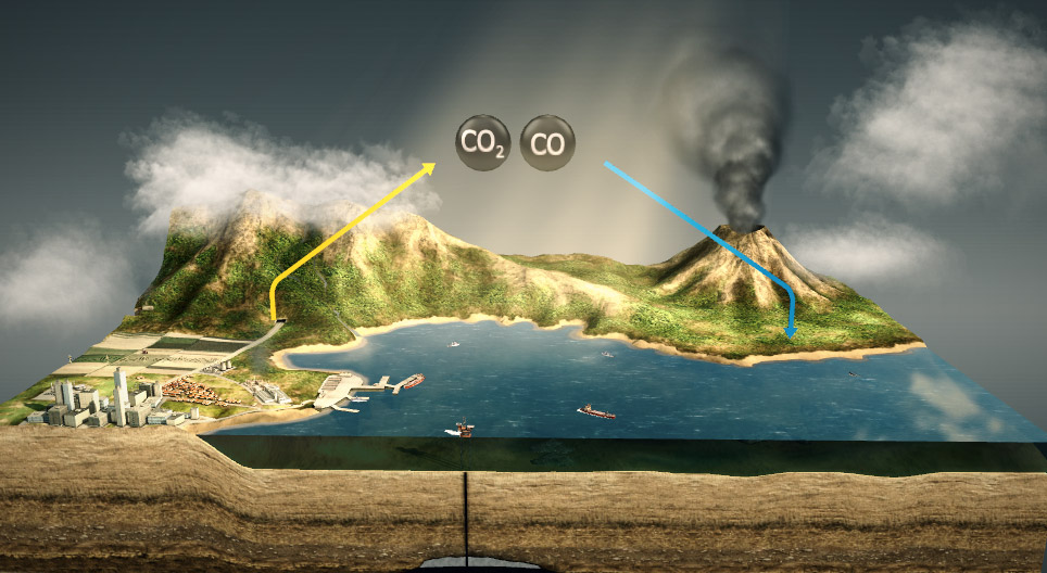 Ciclo del carbono