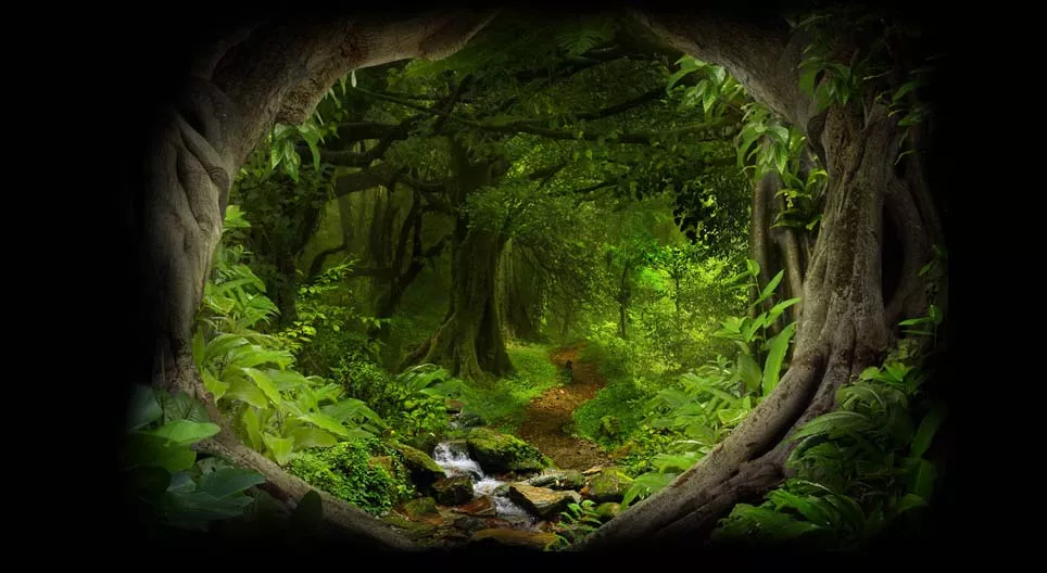 Au fond de la jungle