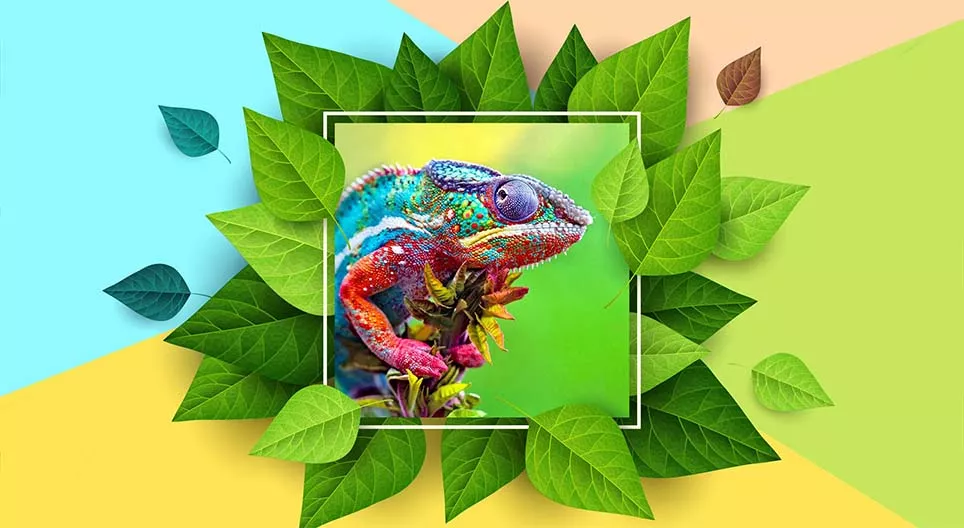 Changements de couleur dans la nature