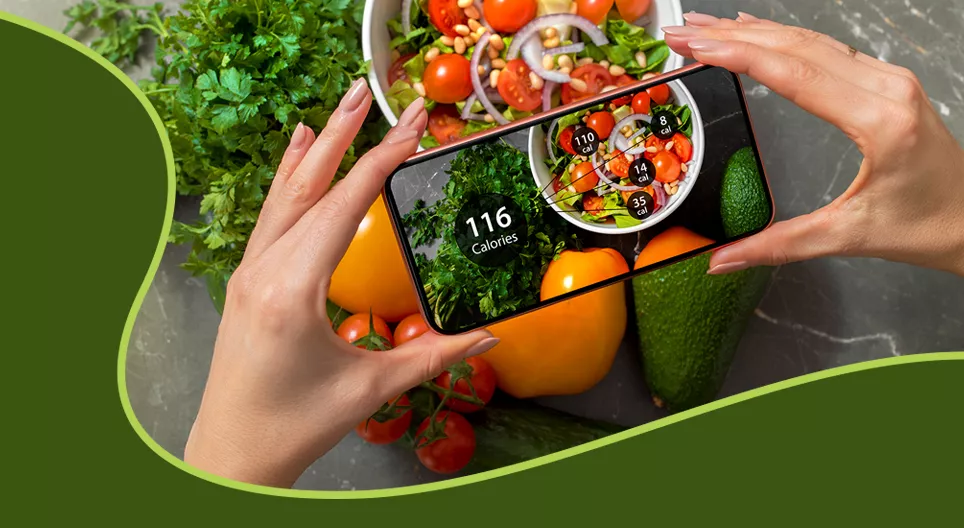 La teneur énergétique des aliments