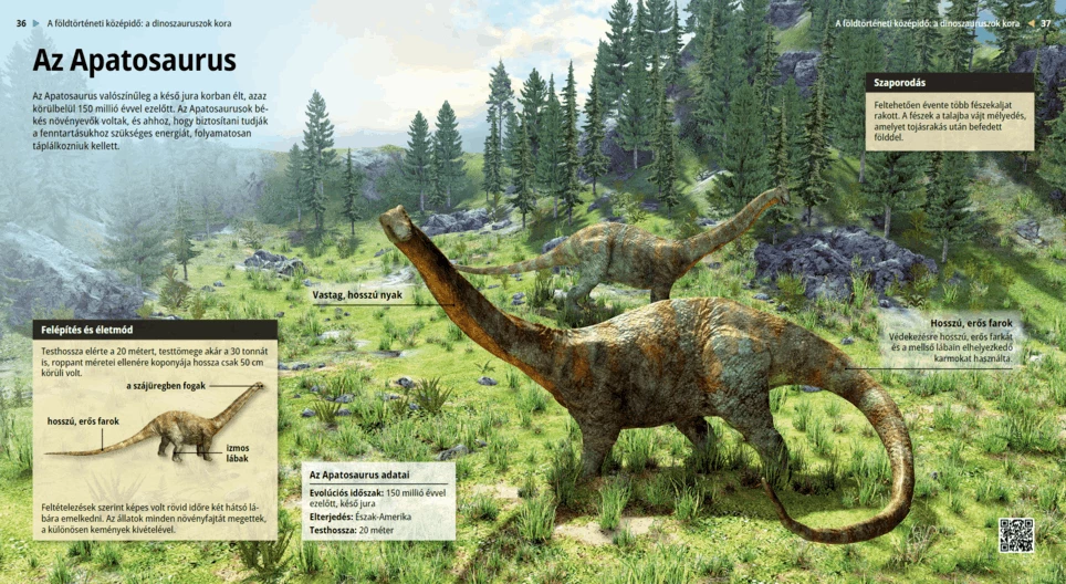 Az Apatosaurus