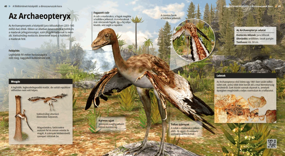 Az Archaeopteryx