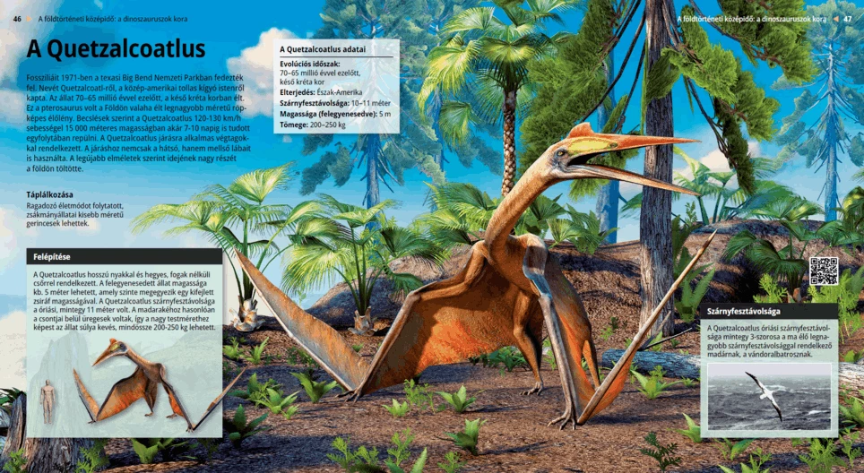A Quetzalcoatlus