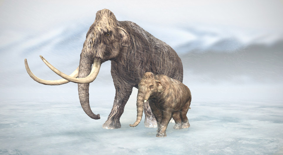 Gyapjas mamut