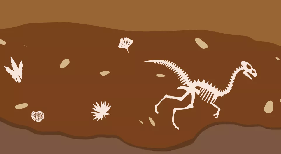 Come si è sviluppata la vita sulla Terra?