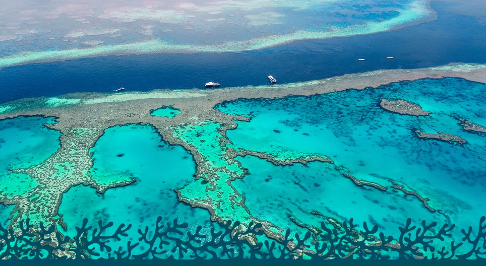 La Grande Barriera Corallina
