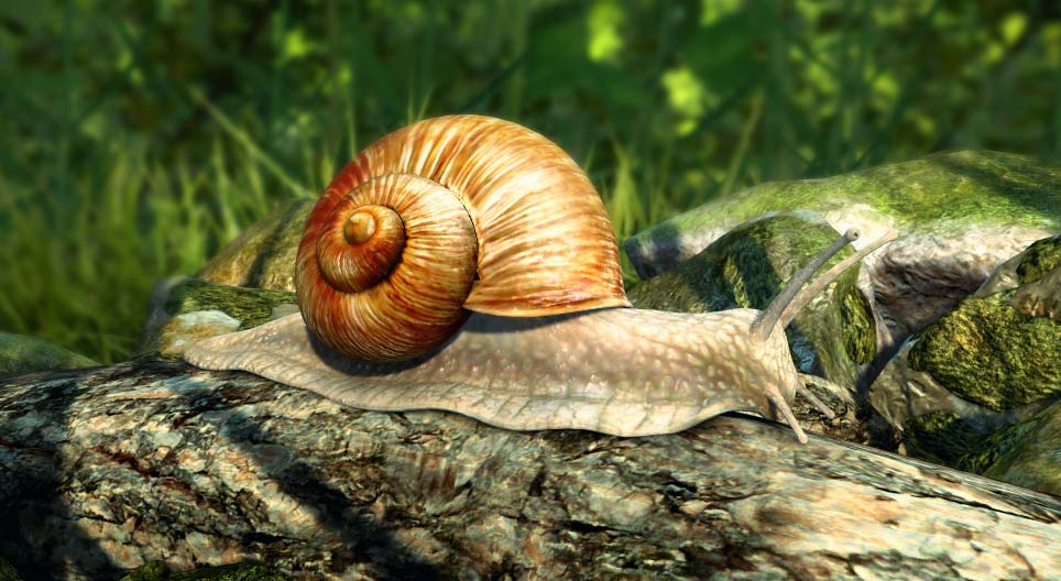 Lumaca romana