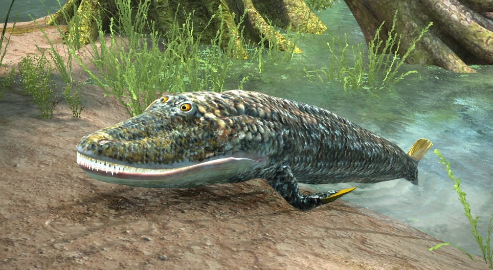 Tiktaalik roseae