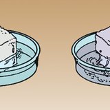 السكر يذوب في الماء الدافئ أسهل من ذوبانه في الماء البارد