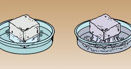 السكر يذوب في الماء الدافئ أسهل من ذوبانه في الماء البارد