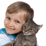 لعب مع القطة